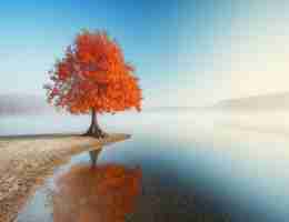 python编‌写﻿的​软﻿件​有​哪​些​